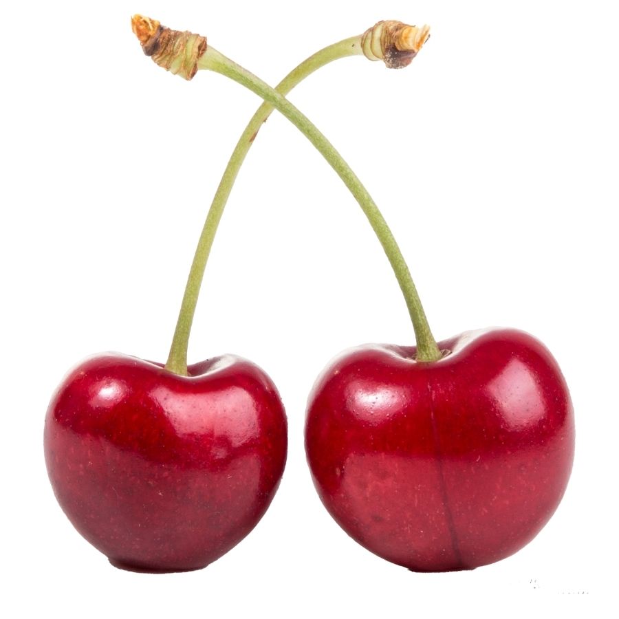 gaston chilli (9)